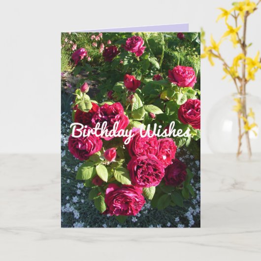 Kaart rode roze bloem  Rozen (Gele Bloem)