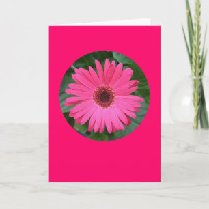 Kaart, "Roze Gerber Daisy in een Cirkel" B-1 Kaart