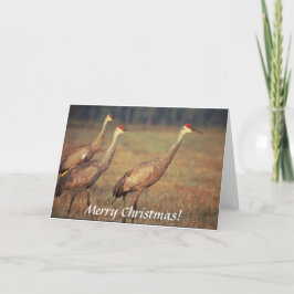 Kaart / Sandhill kranen / Kerst