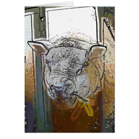 KAART SCHAPEN (Voorkant)