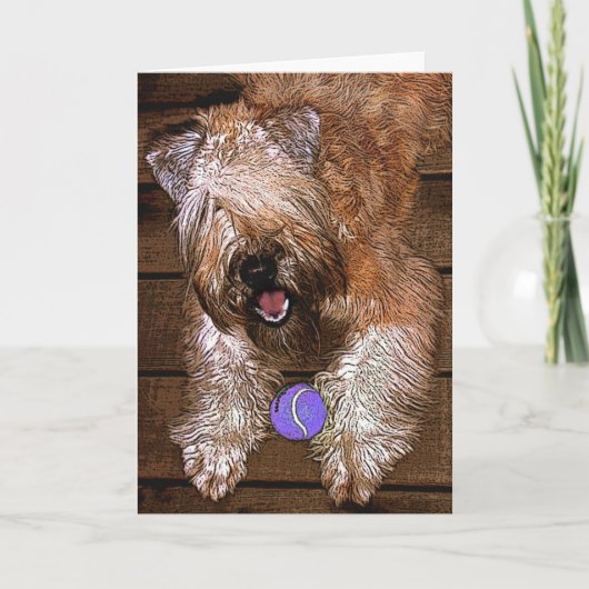 Kaart: "Spelen wil? " Feestdagen Kaart (Voorkant)