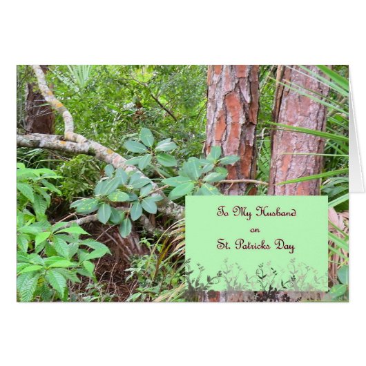 Kaart St. Patrick's Day for Husband (Voorkant Horizontaal)