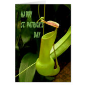 Kaart St. Patrick's Day with Pipe Plant Green (Voorkant)