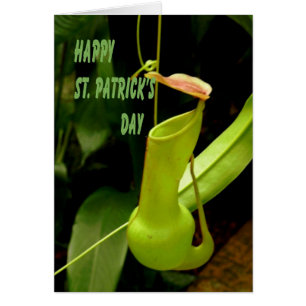 Kaart St. Patrick's Day with Pipe Plant Green