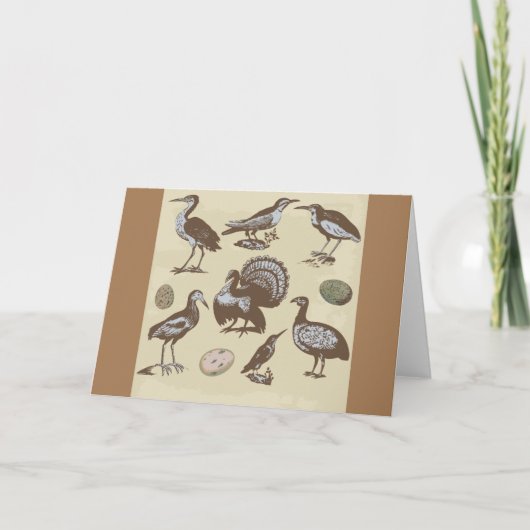  Kaart Stijlvogels (Voorkant)