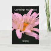 Kaart Sto Lat White Daisy (Voorkant)