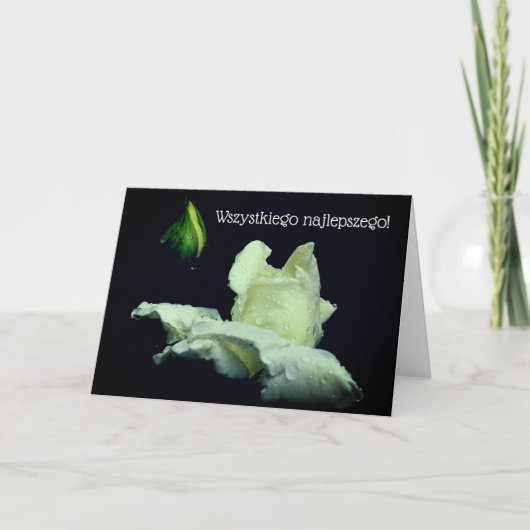 Kaart Sto Lat White Rosebud (Voorkant)