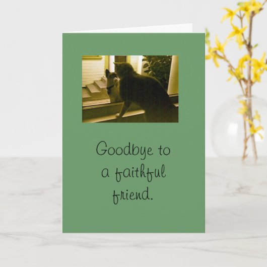 Kaart - sympathie - Vaarwel voor gelovige vriend (Gele Bloem)