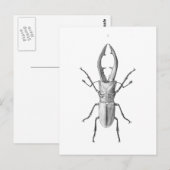  kaart ter illustratie van de kever (Voorkant / Achterkant)