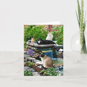 kaart "The Cat Spa"