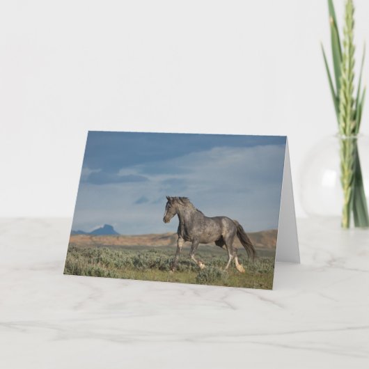 kaart "The Grey Ghost" (Voorkant)