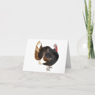 Kaart Turkije blanco