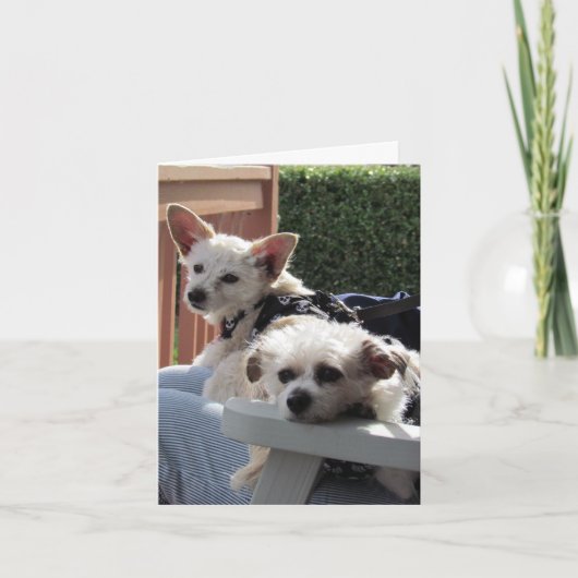 Kaart - twee pakketten (Voorkant)