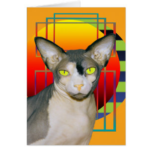 Kaart   Vamp Sphynx Cat (Sinaasappel)