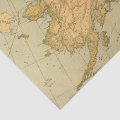 kaart van Alaska (1894) Tissuepapier (Detail)