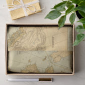 kaart van Alaska (1894) Tissuepapier (Geschenk)