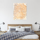 kaart van Antwerpen België (1905) Canvas Afdruk (Insitu (Slaapkamer))
