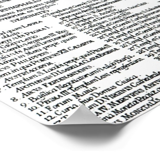 Kaart van Antwerpen Poster (Hoek)