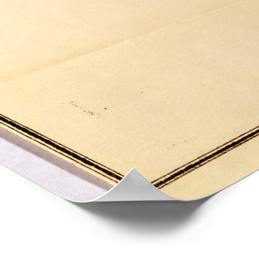 Kaart van Arkansas (1866) Poster (Hoek)