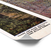  kaart van Asheville North Carolina Poster (Hoek)