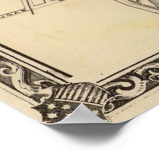  kaart van Aurora IL (1876) Poster (Hoek)