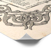  kaart van Australië (1855) Poster (Hoek)