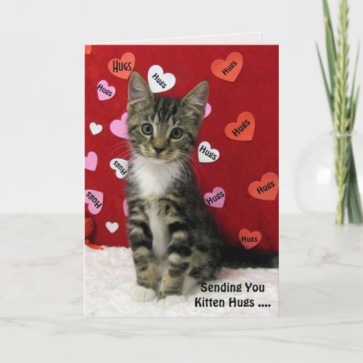 Kaart van Bandit Kitten Hugs (3335) (Voorkant)