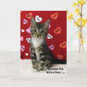 Kaart van Bandit Kitten Hugs (3335) (Gele Bloem)