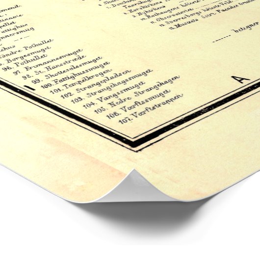  kaart van Bergen Noorwegen (1885) Poster (Hoek)