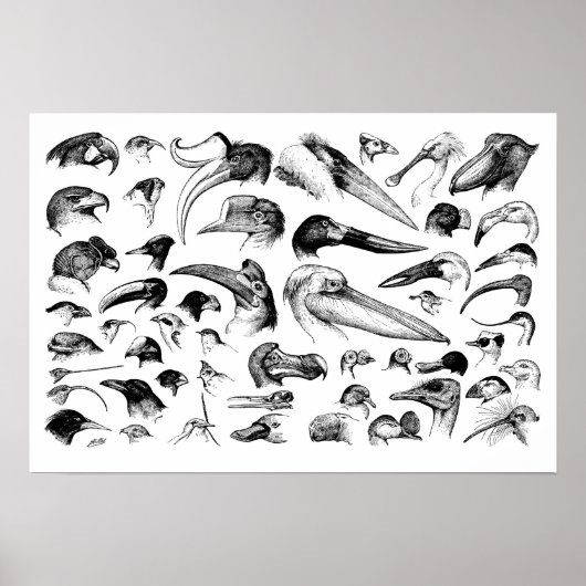 Kaart van Bills Poster (Voorkant)