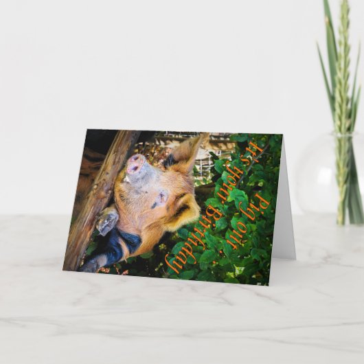 Kaart van Birthday uitdelen (Voorkant)