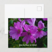 Kaart van boommalve (Voorkant / Achterkant)