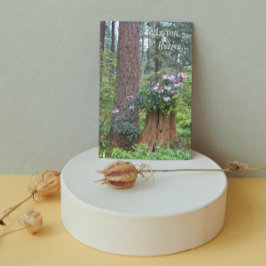 Kaart van bosareaal Rhododendrons Floral Retiremen