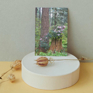 Kaart van bosareaal Rhododendrons Floral Retiremen