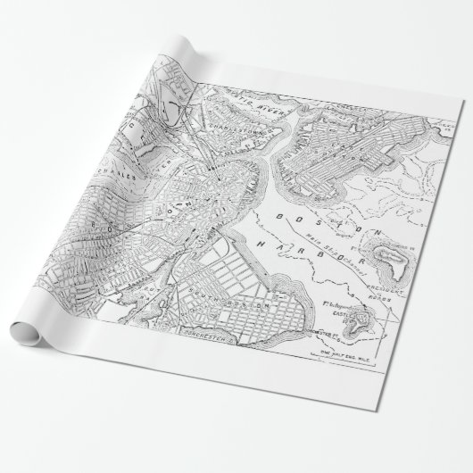  kaart van Boston (1878) Cadeaupapier (Uitgerold)