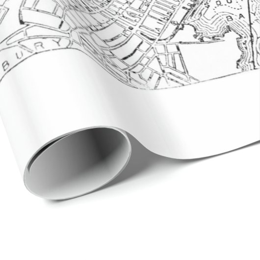  kaart van Boston (1878) Cadeaupapier (Rol Hoek)