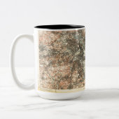  kaart van Boston Tweekleurige Koffiemok (Links)