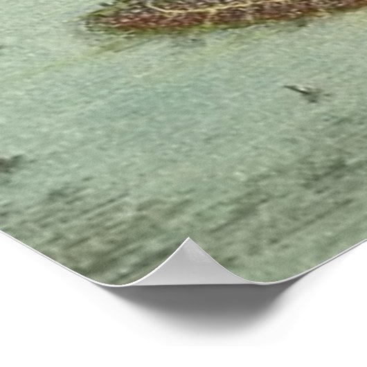  kaart van Brooklyn NY (1908) Poster (Hoek)