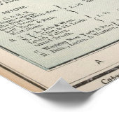 kaart van Buffalo New York (1891) Poster (Hoek)