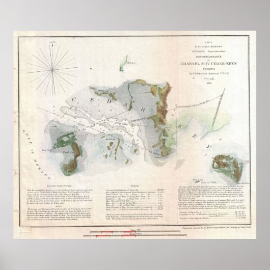 kaart van Cedar Key Florida (1852) Poster (Voorkant)