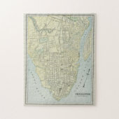  kaart van Charleston SC (1901) Legpuzzel (Verticaal)