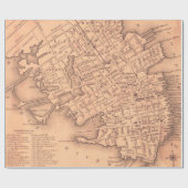  kaart van Charleston South Carolina (1849) Cadeaupapier (Vlak)