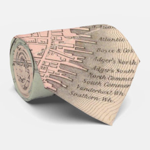 kaart van Charleston South Carolina (1855) Stropdas