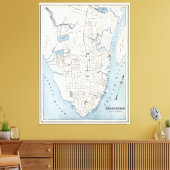 kaart van Charleston South Carolina (1898) Canvas Afdruk (Insitu (Woonkamer))
