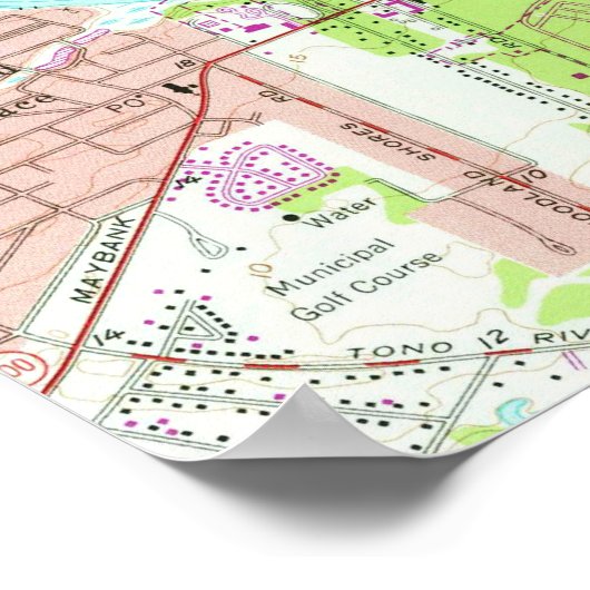  kaart van Charleston South Carolina (1958) Poster (Hoek)