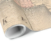  kaart van Chicago Illinois (1876) Cadeaupapier (Rol Hoek)