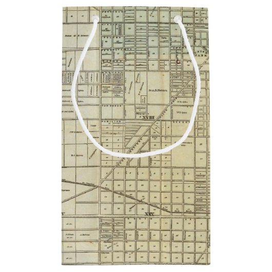 Kaart van Chicago Klein Cadeauzakje (Achterkant)