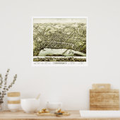 Kaart van Connecticut Middletown van 1877 Poster (Keuken)