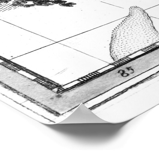  kaart van Cuba en Jamaica (1763) Poster (Hoek)