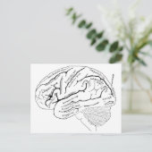 Kaart van de 19e eeuw van de hersenen - kunstgesc (Staand voorkant)